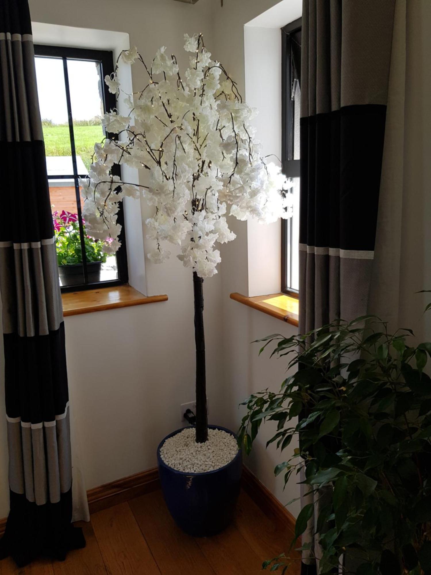 Atlantic Coast Holiday Home Mountcharles ภายนอก รูปภาพ